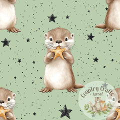 Baby Otter - Sage - Jumper with matching solid colour cuffs