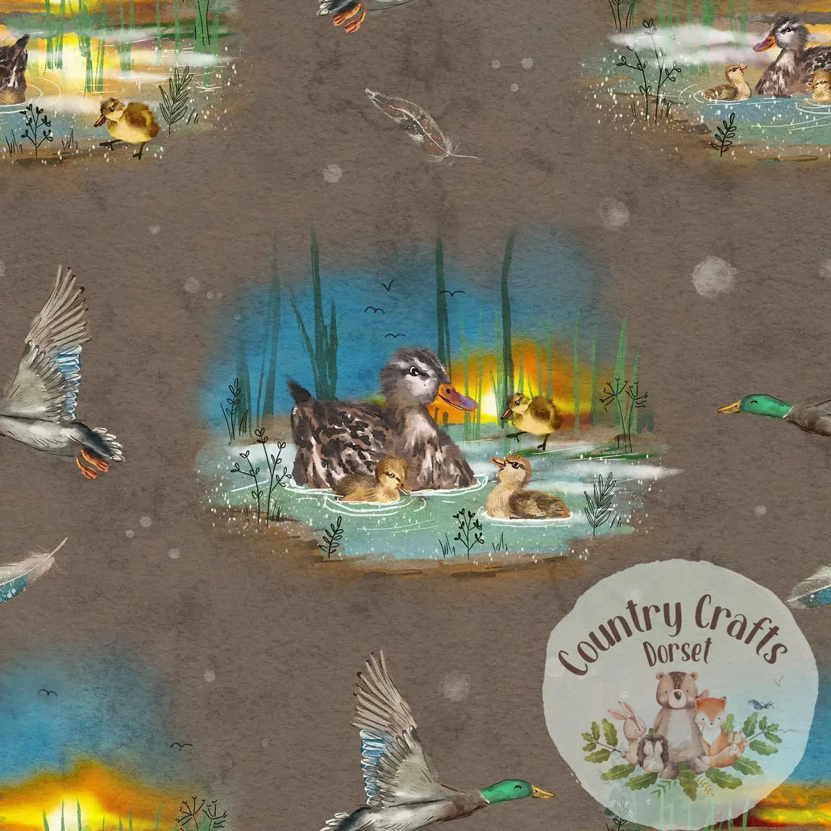 Ducks & Ducklings - Jumper with matching solid colour cuffs